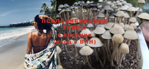 каннабис Бронницы