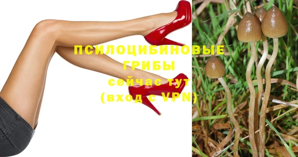 а пвп мука Бугульма