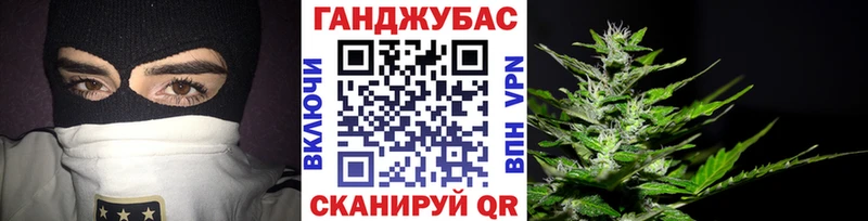 Купить закладки  Новозыбков  Каннабис гибрид 
